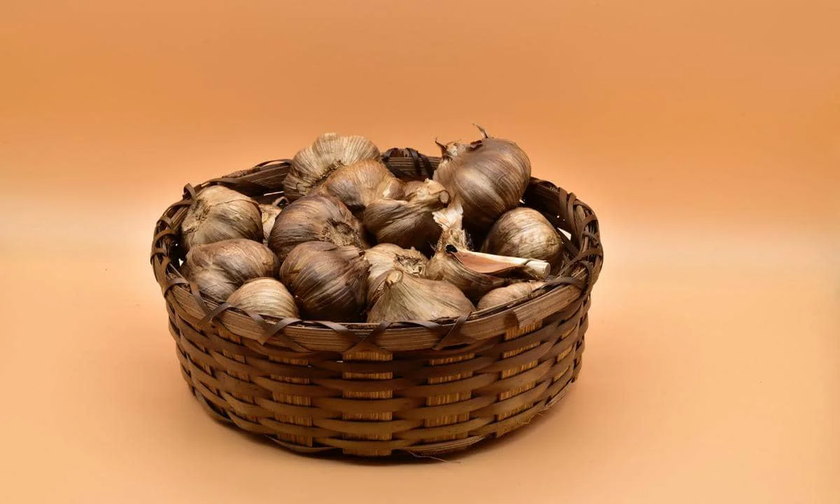 ilustrasi black garlic