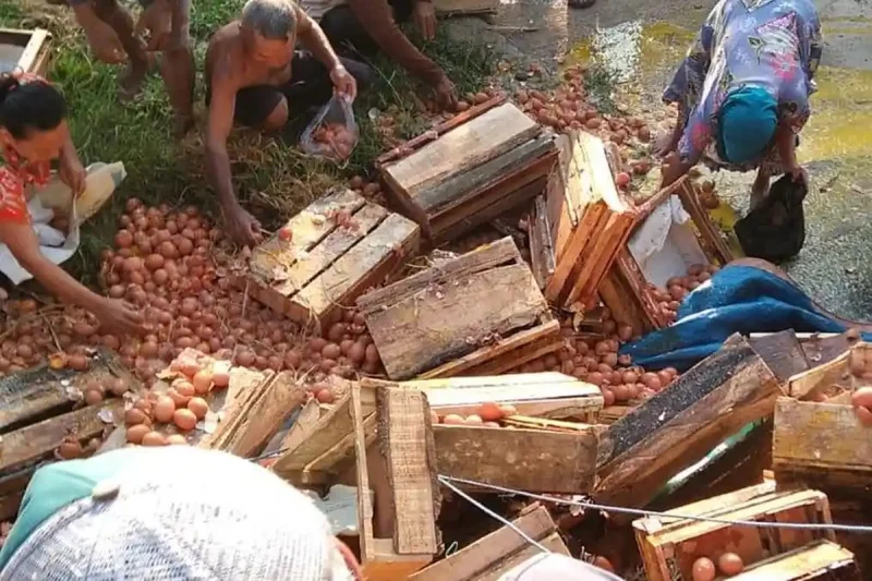 Kronologi Warga Kutawis Purbalingga Jarah Telur Usai Mobil Pikap Terguling