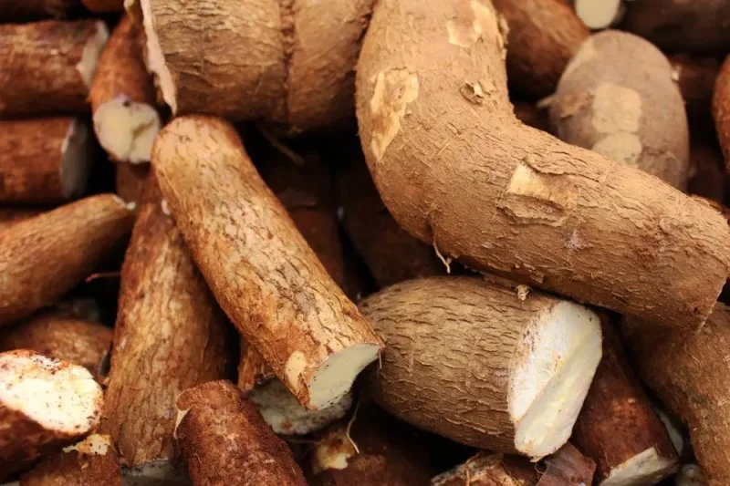 7 Cara Merebus Singkong biar Empuk dan Merekah Cantik