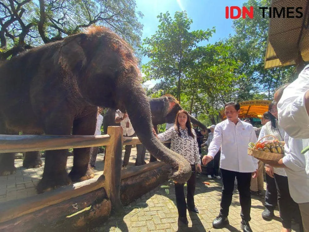 Potret Kebun Binatang Surabaya
