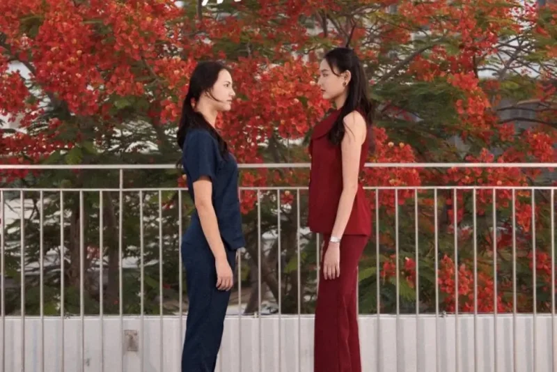 Premis Cerita Drama GL Thailand Did You Know, Ceritanya tentang CLBK