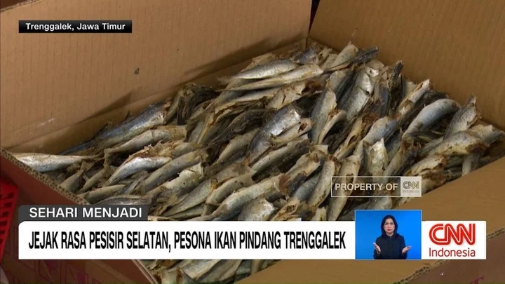 VIDEO: Jejak Rasa Pesisir Selatan, Pesona Ikan Pindang Trenggalek