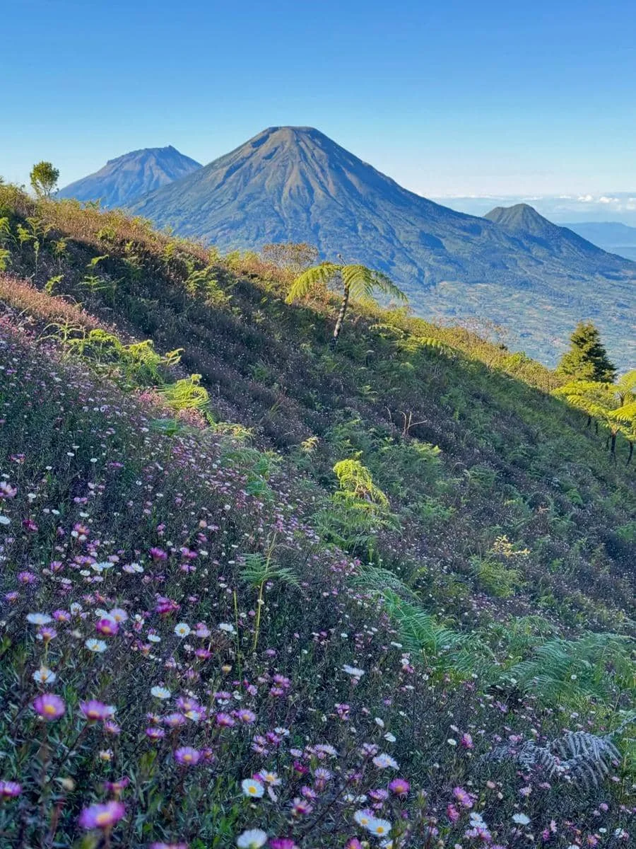 Ririe Fairus mendaki Gunung Prau