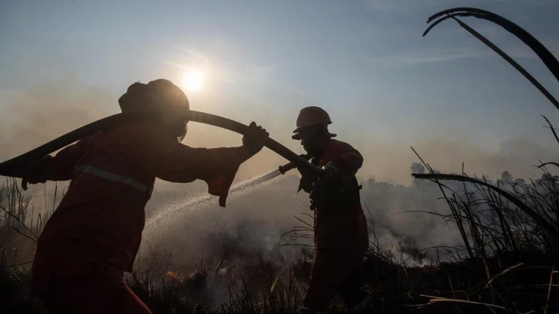 FOTO: Berjibaku Padamkan Kebakaran Lahan di Ogan Ilir