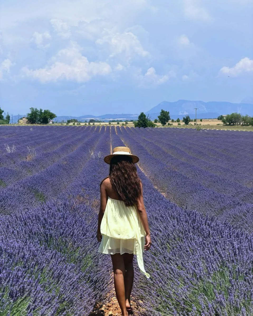 Novia Bachmid ke kebun bunga lavender di Prancis