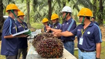 Ekonom Beri Peringatan Soal Kebijakan B50: Lihat Peluang yang Dikorbankan