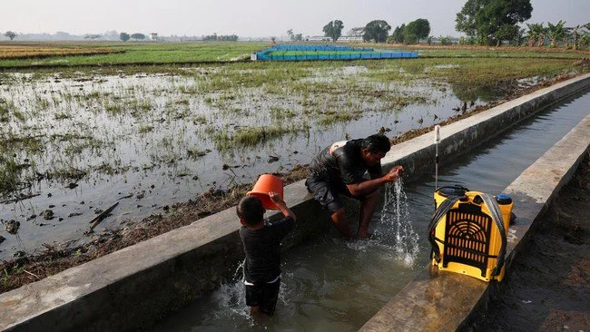 Kapan Puncak Musim Kemarau 2026 Dimulai?