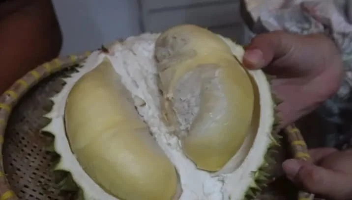 Pemkot Pangkalpinang Menjadikan Destar Point sebagai Pusat Kuliner Durian untuk Dongkrak Wisata dan Ekonomi
