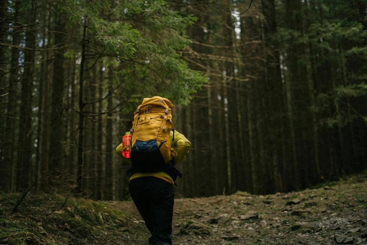 ilustrasi pendaki gunung (unsplash.com/Alina Fedorchenko)