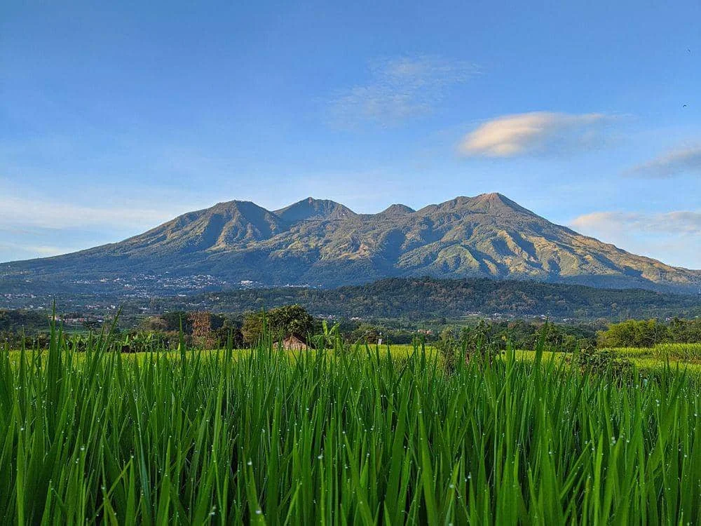 Gunung Arjuno
