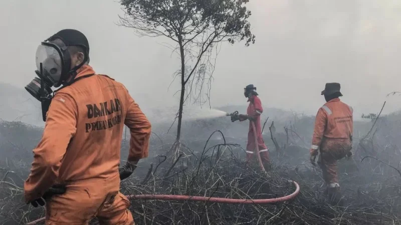 Kebakaran Lahan Gambut di Aceh Selatan Meluas Jadi 25 Hektare, Api Masih Menyala
