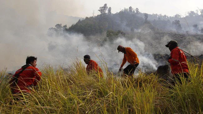 Seribuan Hektare Padang Savana di TN Tambora Sumbawa Terbakar