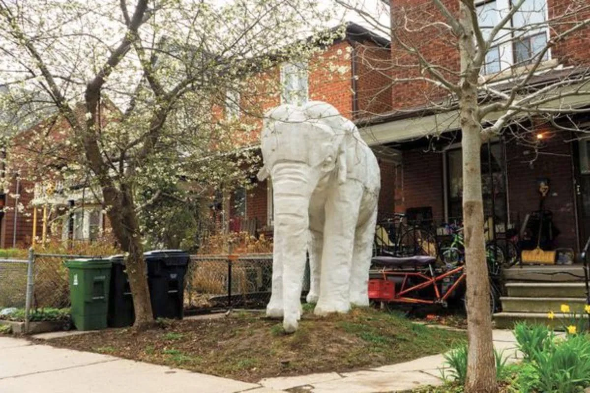 Elephant House, Toronto