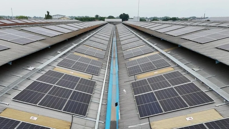 Modena Energy Dorong Adopsi Tenaga Surya Lebih Cerdas
