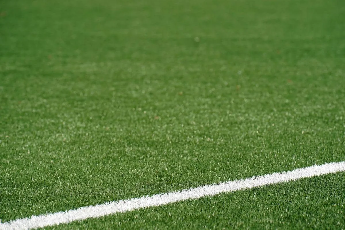 ilustrasi rumput stadion sepak bola