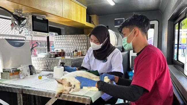 DKI Kerahkan 5 Unit Mobil Klinik Hewan Keliling di Lima Wilayah Kota