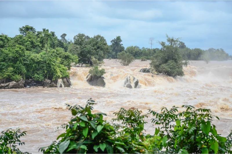 Ratusan Ular Serbu Kota Saat Banjir Menerjang Pusat Penangkaran Reptil
