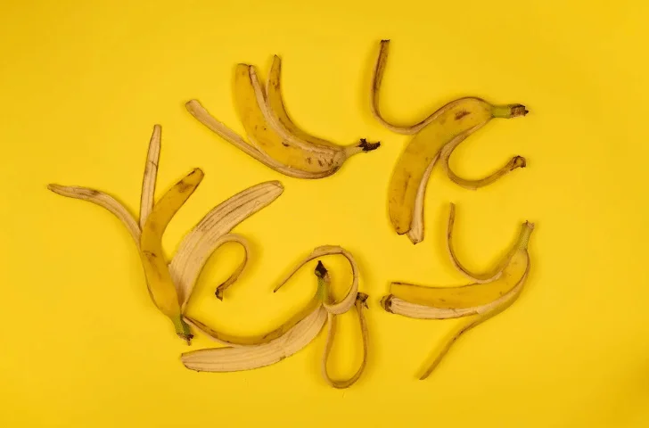 ilustrasi kulit pisang