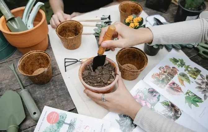 6 Hacks Berkebun Populer yang Justru Berdampak Buruk bagi Tanaman