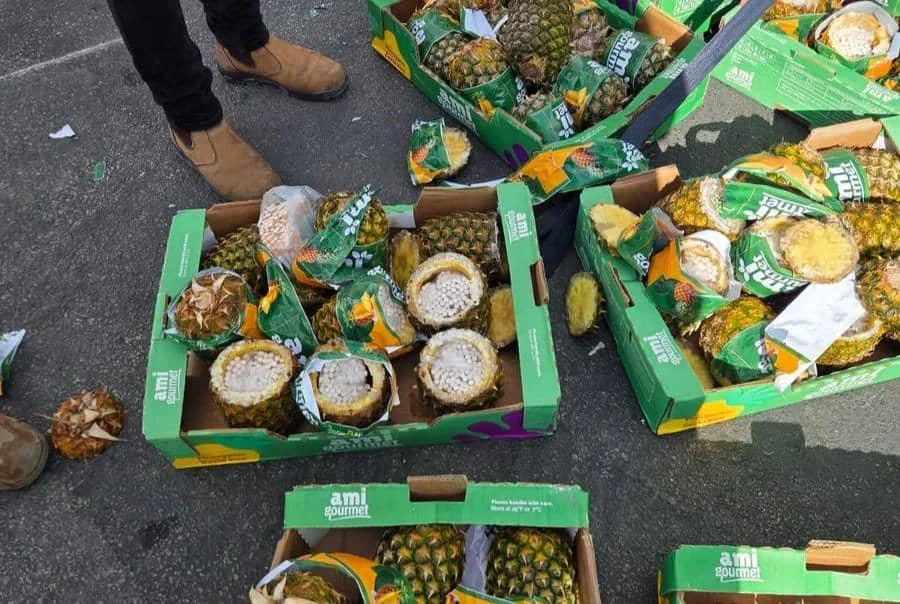 Ratusan nanas berisi ribuan rokok akan diselundupkan oleh perusahaan swasta Israel ke Jalur Gaza, Palestina.