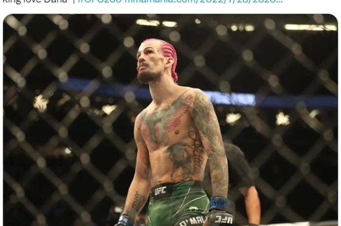 Duel Conor McGregor Berakhir Buruk, Sean O'Malley Terkejut