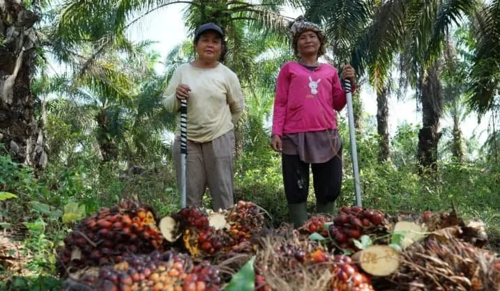 Agrinas Palma Gandeng Kementerian Koperasi Bangun Ekosistem Agribisnis Perkebunan Berbasis Koperasi