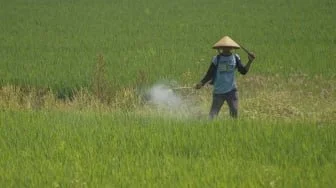 Kata Prabowo: Banyak Petani RI Liburan ke Luar Negeri!