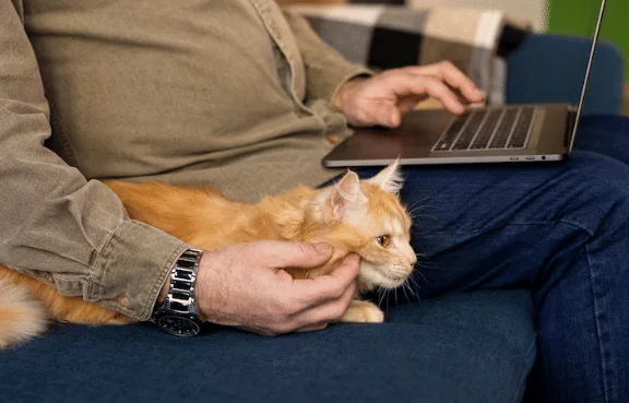https://www.freepik.com/free-photo/elderly-person-with-pet-cat_40125493.htm#fromView=search&page=3&position=19&uuid=b9210c11-59af-4775-aa91-85b6d71eb4b3&query=naik+pesawat+bersama+kucing
