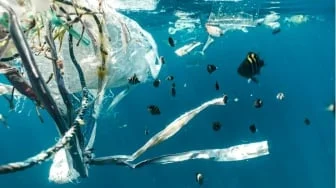 Mikroplastik Tembus Lautan Dalam, Keseimbangan Ekosistem Laut Terganggu