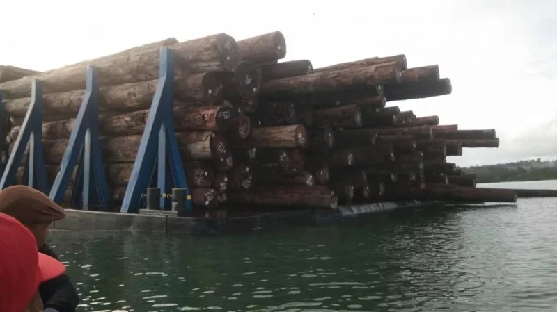 Pengawas Sawmill Ilegal di Kampar Jadi Tersangka, Terancam Denda Rp2,5 Miliar