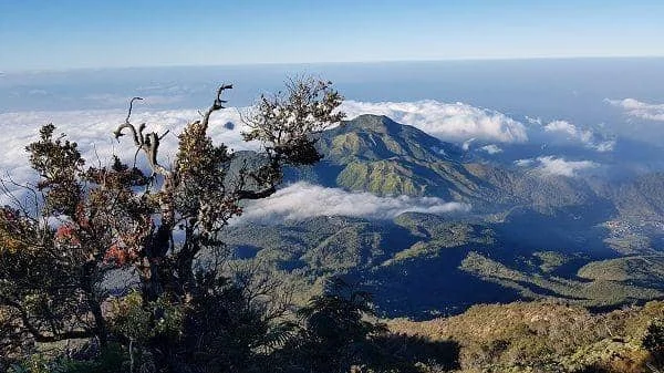 Gunung Lawu (google.com/maps/sk c)