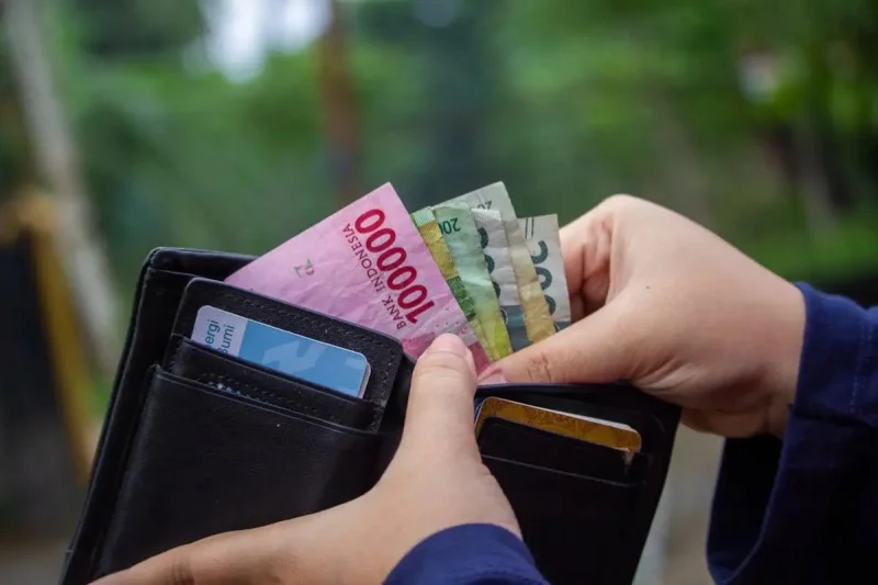 Mengapa Mata Uang Negara Berkembang Lebih Berfluktuasi?