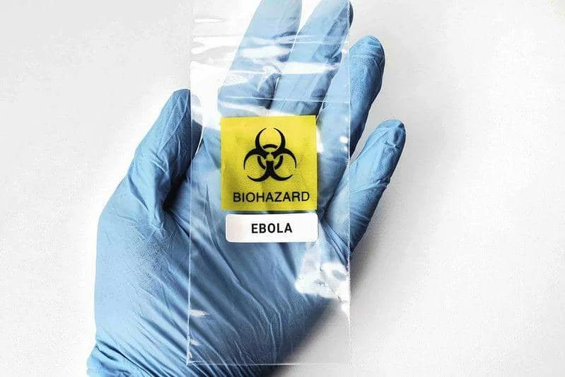 ilustrasi Ebola (flickr.com/Focal Foto)
