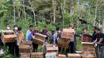 977 Burung Korban Penyelundupan Kembali ke Langit Gunung Rajabasa