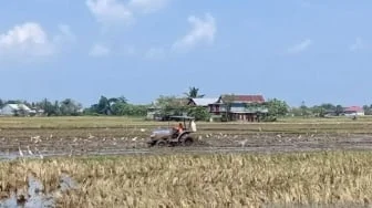 Sawah Sidrap Kekurangan Air, Mobil Tangki Dikerahkan