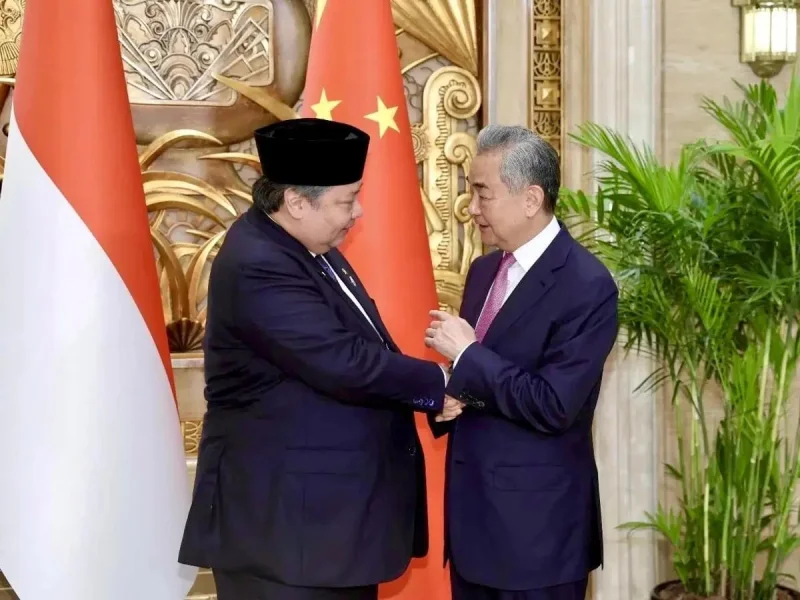 Airlangga Bertemu Menlu China Ajak Investasi Proyek PLTS 100 GW