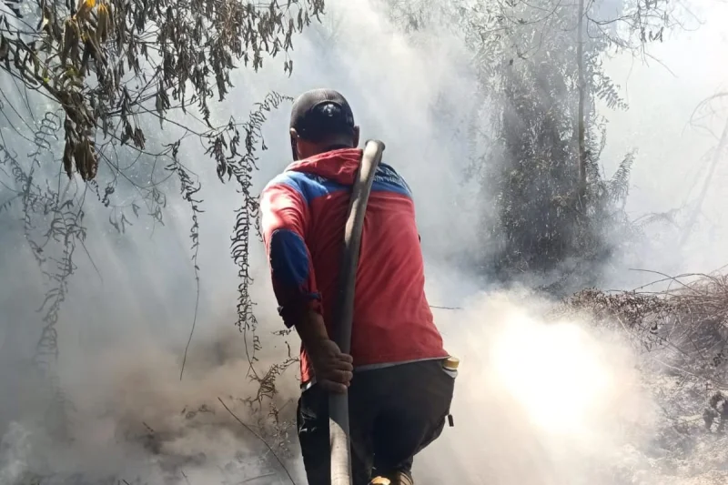 Karhutla 17 Hari di Kotim, BPBD Kini Fokus Putus Rambatan Api