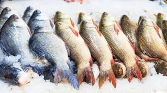 Kerap Dianggap Limba, Pakar IPB Ungkap Kepala Hingga Sisik Ikan Bisa Bernilai Ekonomis